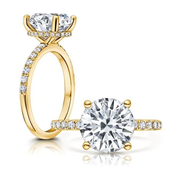 Diamond Engagement Ring James & Williams Jewelers Berwyn, IL