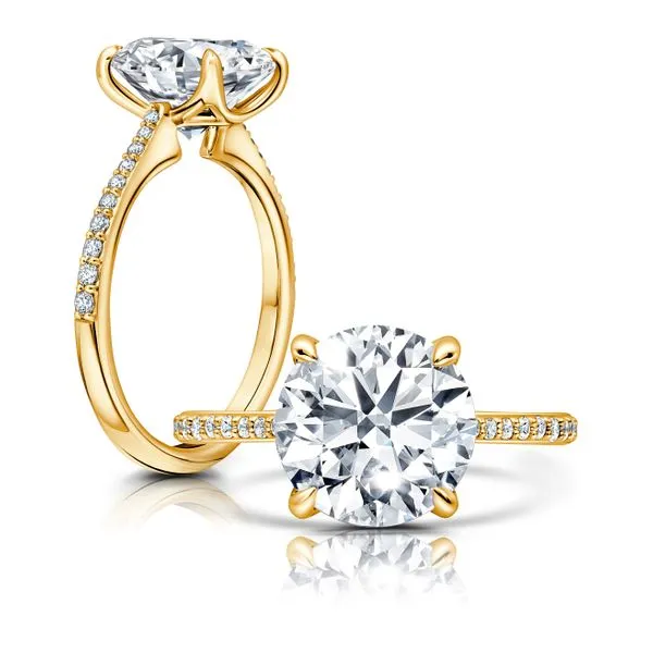 Diamond Engagement Ring James & Williams Jewelers Berwyn, IL