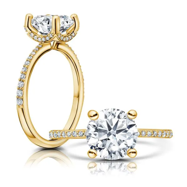 Diamond Engagement Ring James & Williams Jewelers Berwyn, IL