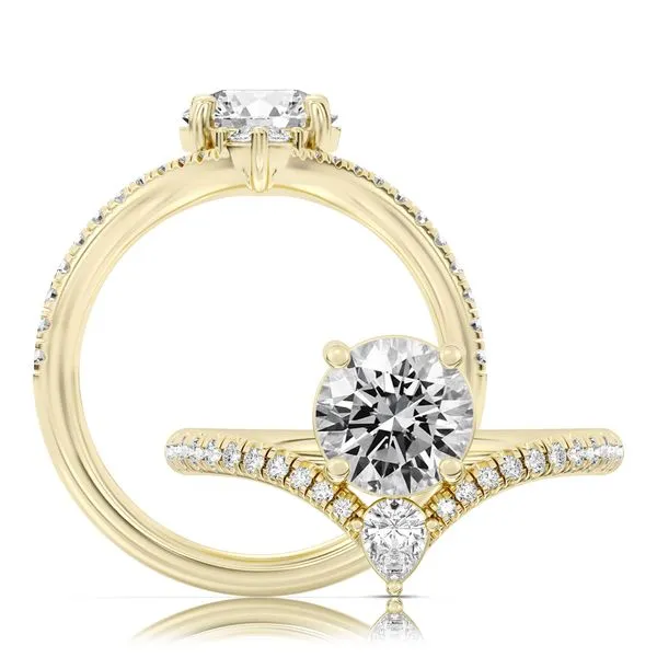 Diamond Engagement Ring James & Williams Jewelers Berwyn, IL