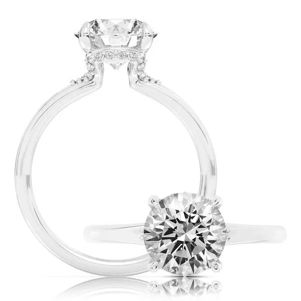 Diamond Engagement Ring James & Williams Jewelers Berwyn, IL