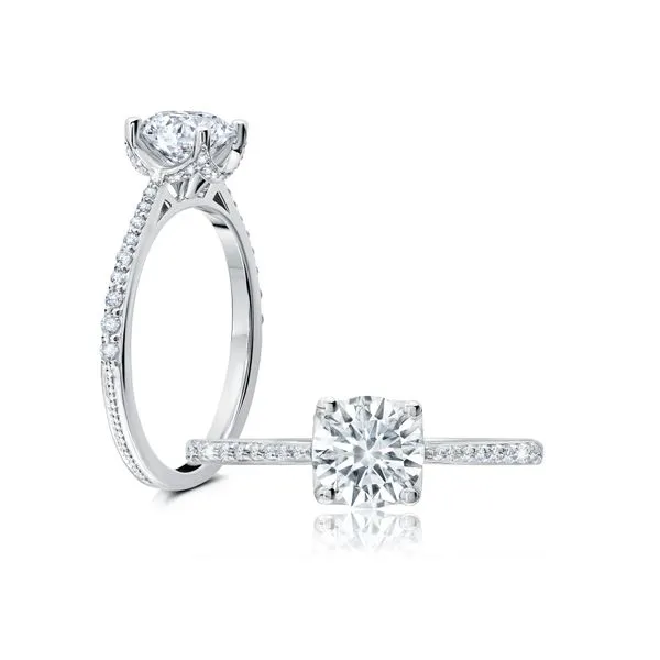 Diamond Engagement Ring James & Williams Jewelers Berwyn, IL