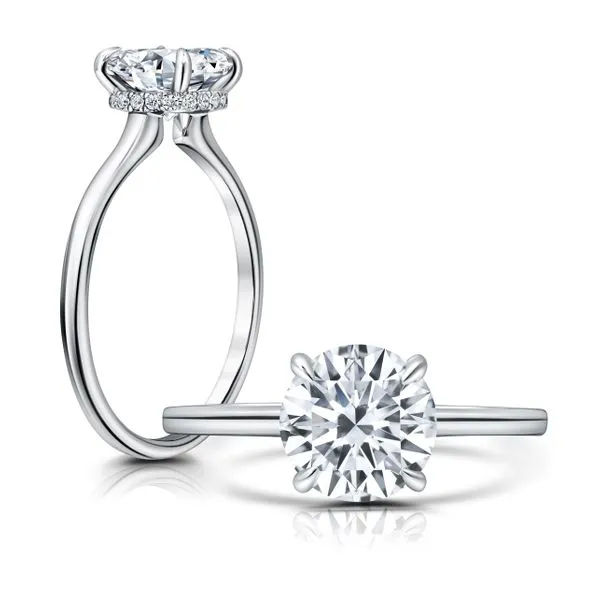 Diamond Engagement Ring James & Williams Jewelers Berwyn, IL