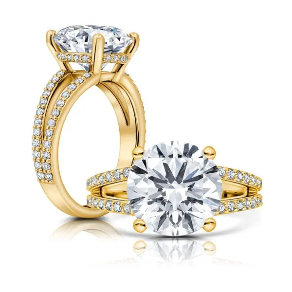 Diamond Engagement Ring James & Williams Jewelers Berwyn, IL