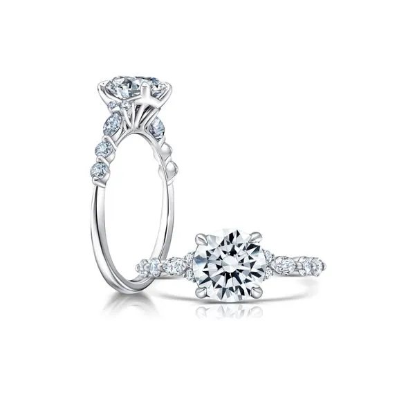 Diamond Engagement Ring James & Williams Jewelers Berwyn, IL