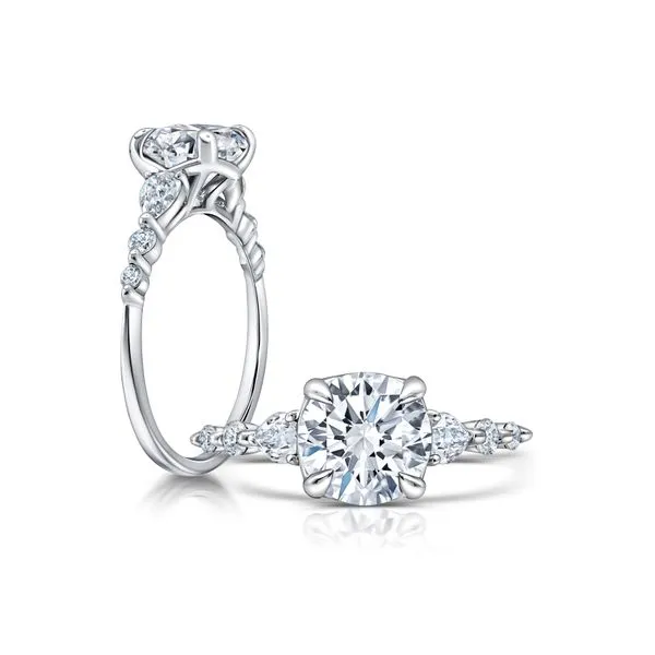 Diamond Engagement Ring James & Williams Jewelers Berwyn, IL