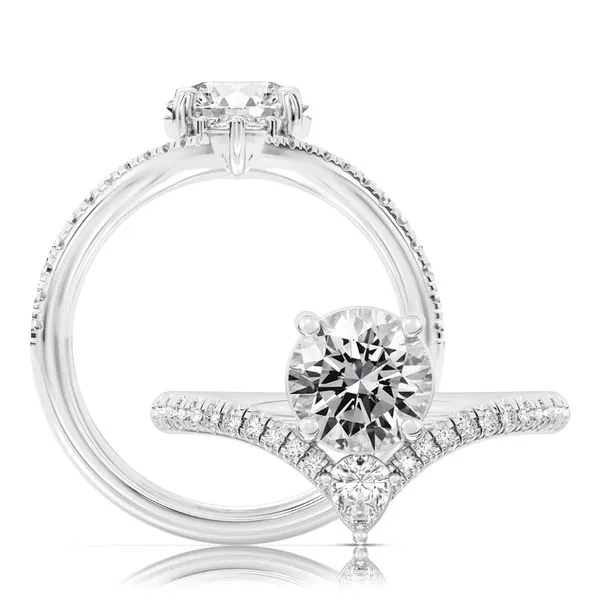 Diamond Engagement Ring James & Williams Jewelers Berwyn, IL