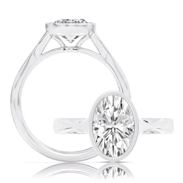 Engagement Ring James & Williams Jewelers Berwyn, IL