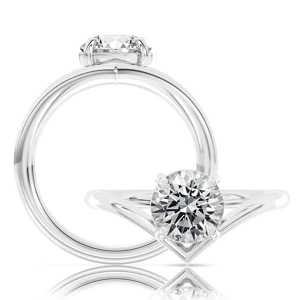 Engagement Ring James & Williams Jewelers Berwyn, IL