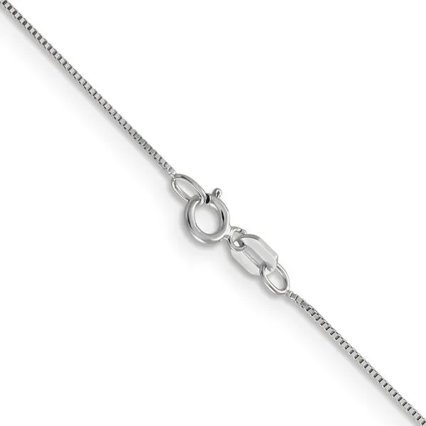 Leslie's 14K White Gold .5mm Baby Box with Spring Ring Clasp Chain Image 3 Diny's Jewelers Middleton, WI