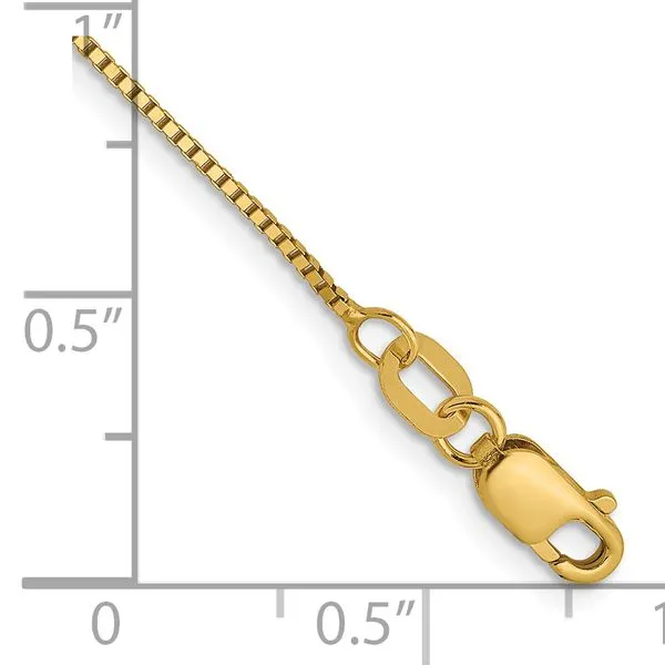 Leslie's 14K .7mm Box with Lobster Clasp Chain Anklet Image 2 Peran & Scannell Jewelers Houston, TX