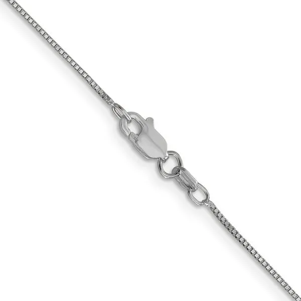 Leslie's 14K White Gold .7mm Box with Lobster Clasp Chain Image 3 Diny's Jewelers Middleton, WI