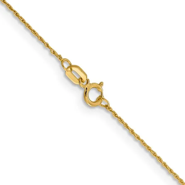Leslie's 14K .8mm Loose Rope Chain Image 3 Diny's Jewelers Middleton, WI
