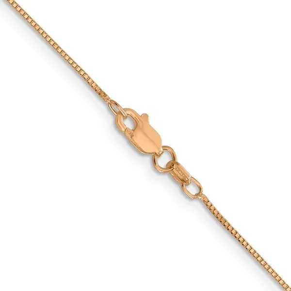 Leslie's 14K Rose Gold .7mm Box with Lobster Clasp Chain Image 3 Diny's Jewelers Middleton, WI