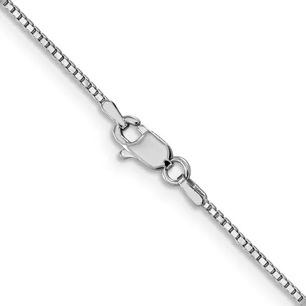 Leslie's 14K White Gold 1mm Box Chain Image 3 Jewelry Design Studio Jensen Beach, FL