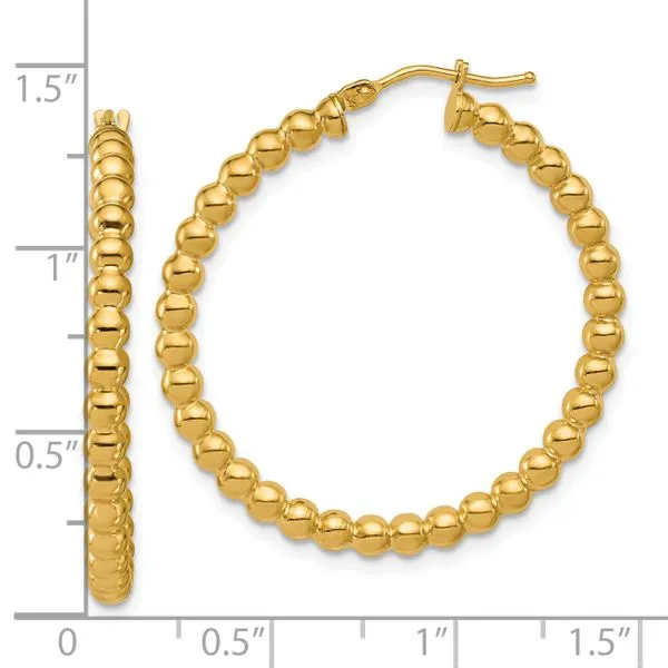Leslie's 14K Polished Beaded Round Hoop Earrings Image 4 Albert's Jewelers Kingsland, GA