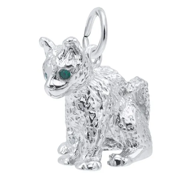 Rembrandt Charms cat