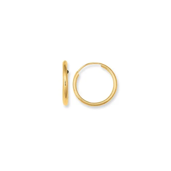 10K Gold Endless Hoop Earring Thomas A. Davis Jewelers Holland, MI