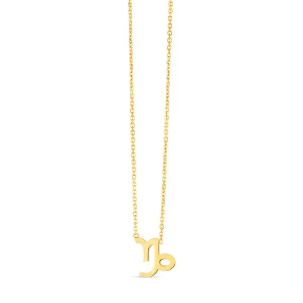 14K Gold Capricorn Necklace Tennies Jewelry Appleton, WI