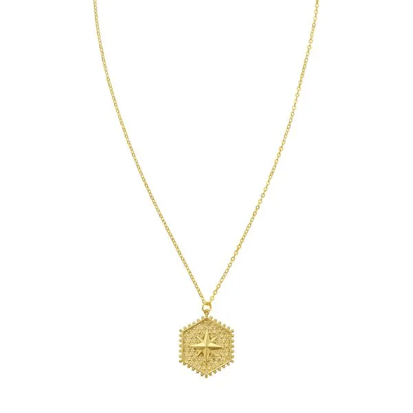 14K North Star Hexagon Necklace Rick's Jewelers California, MD