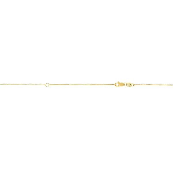 14K Gold .7mm Extendable Chain  Alan Miller Jewelers Oregon, OH