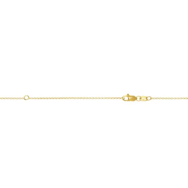 14K Gold 1.1mm Extendable Chain Thomas A. Davis Jewelers Holland, MI