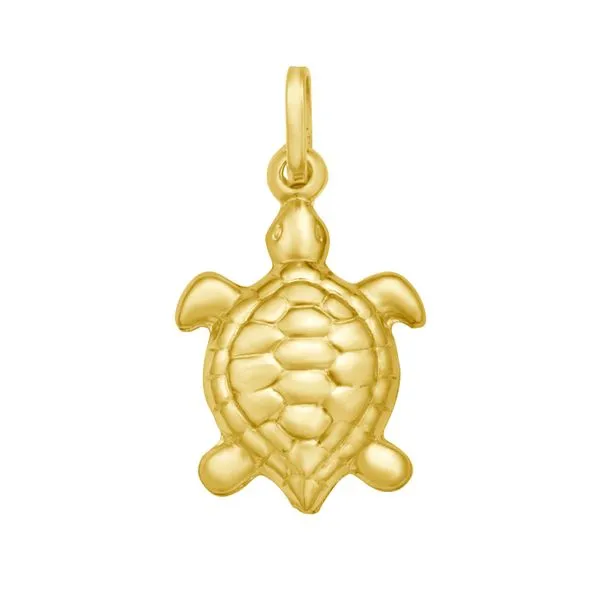 14K Turtle Charm Tennies Jewelry Appleton, WI