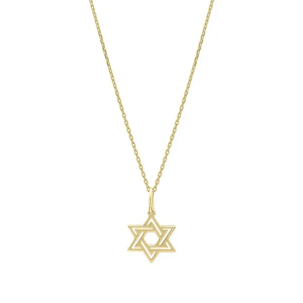 14K Gold Star of David Pendant James & Williams Jewelers Berwyn, IL