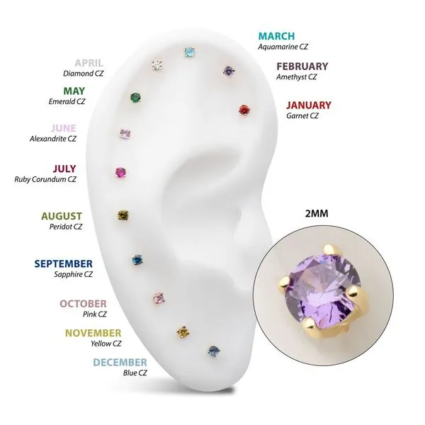 20g 14Kt Gold Birthstone Stud Earrings with 2mm 4-Prong Gem, Double Notch Post & Butterfly Back Image 5 Carroll's Jewelers Fort Lauderdale, FL