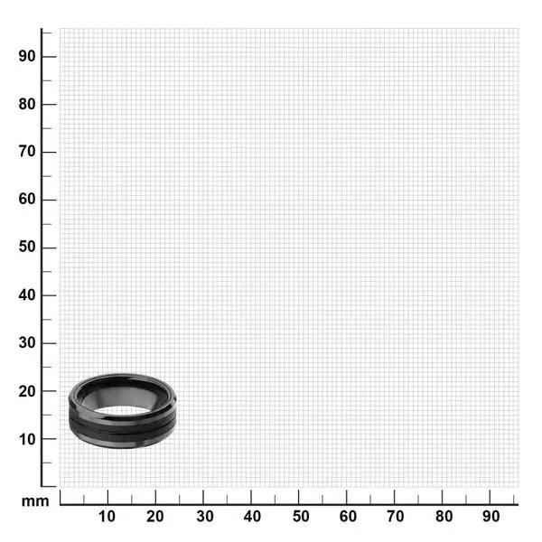 Black IP with Double Line Solid Carbon Fiber Ring Image 4 Morin Jewelers Southbridge, MA