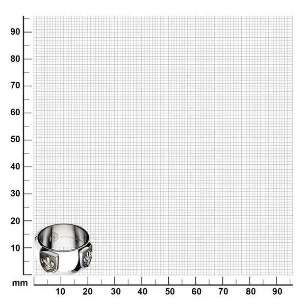 Polished Steel Finish Fleur de Lis Accent Mounted on a Brushed Gun Metal IP Ring Image 4 Timmreck & McNicol Jewelers McMinnville, OR