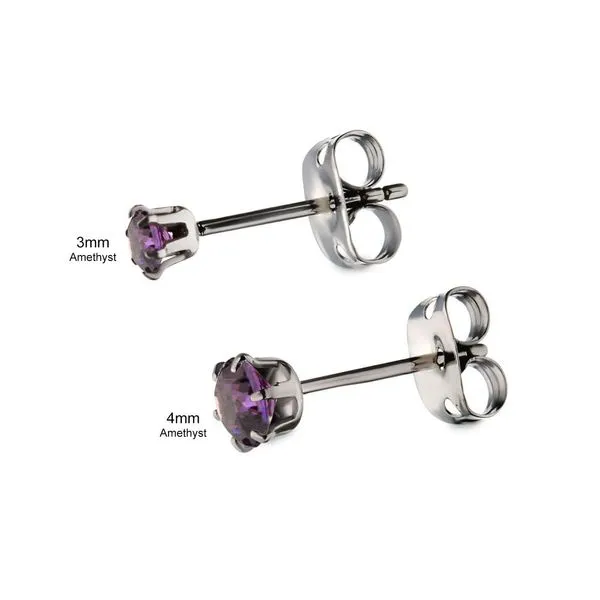 20g Titanium Post and Butterfly Back with 6-Prong Gem Stud Earrings Image 3 Alan Miller Jewelers Oregon, OH