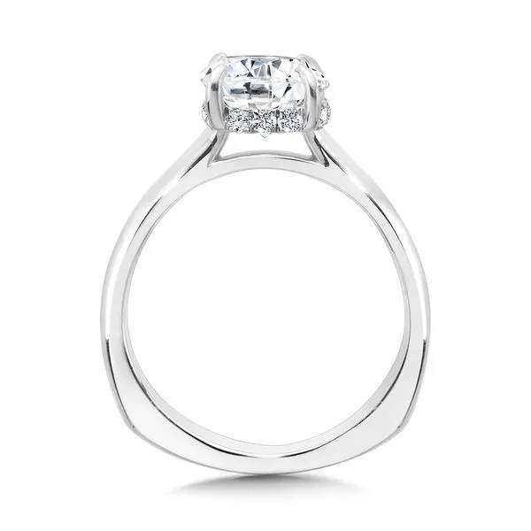Floating Hidden Halo Solitaire Diamond Engagement Ring Image 3 Sanders Jewelers Gainesville, FL