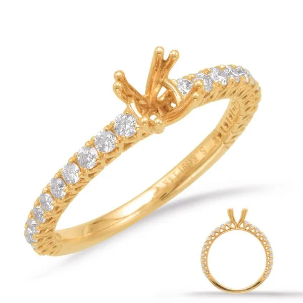 Yellow Gold Engagement Ring Tennies Jewelry Appleton, WI