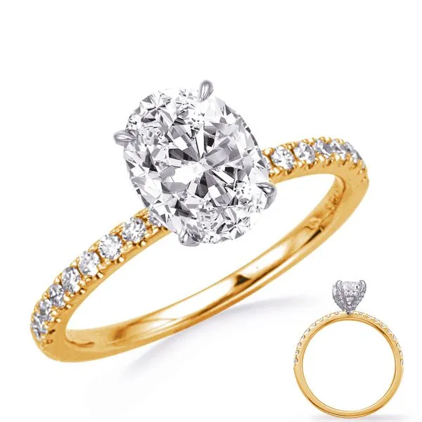 White & Yellow  Gold Engagement Ring Tennies Jewelry Appleton, WI