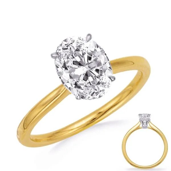 Yellow & White Gold Engagement Ring Raleigh Diamond Fine Jewelry Raleigh, NC