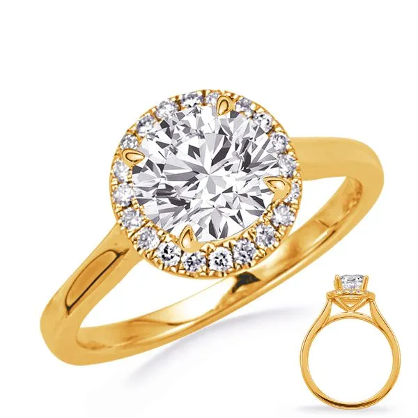Yellow Gold Engagement Ring Tennies Jewelry Appleton, WI