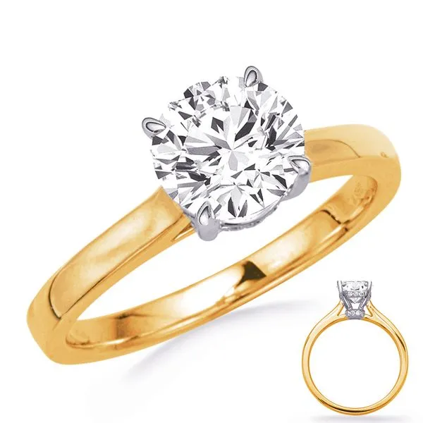 Yellow & White Gold Engagement Ring J. Meredith Jewelers Delafield, WI