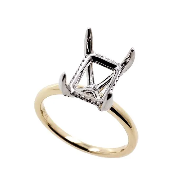 Yellow & White Gold Engagement Ring Tennies Jewelry Appleton, WI