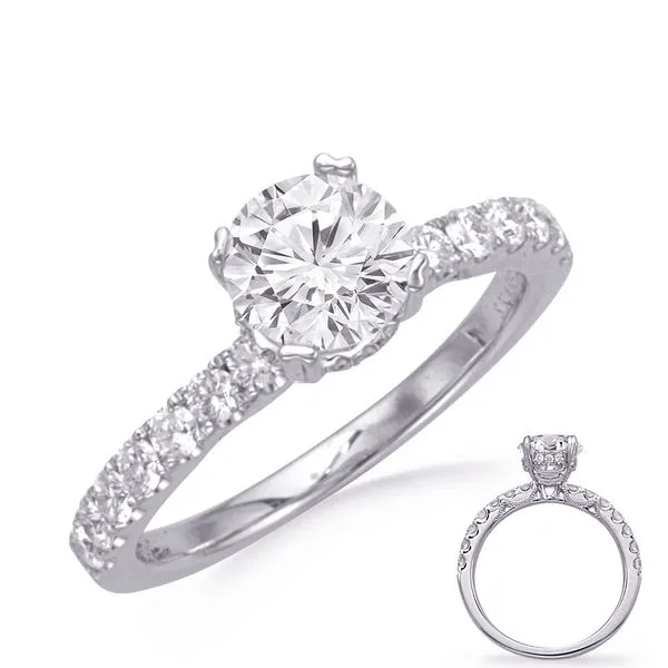 White Gold Engagement Ring Raleigh Diamond Fine Jewelry Raleigh, NC