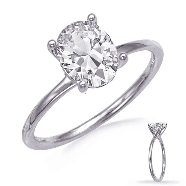 White Gold Engagement Ring D&M Jewelers Green Bay, WI