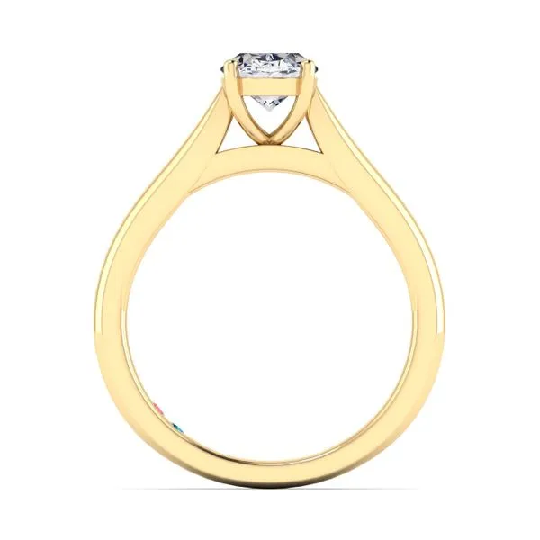 Oval Lab Grown Diamond Solitaire Engagement Ring Image 3 Diamonds Direct St. Petersburg, FL