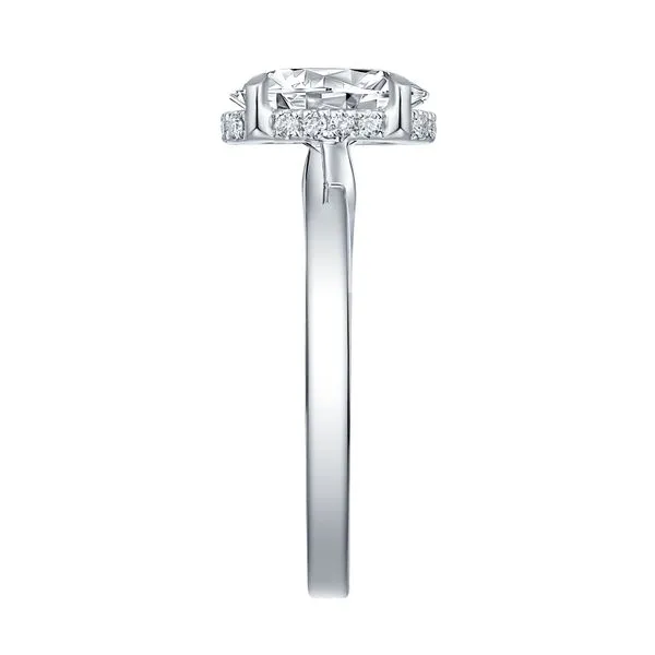 Oval Lab Grown Diamond Solitaire Knot Hidden Halo Bridal Ring Image 3 Clater Jewelers Louisville, KY