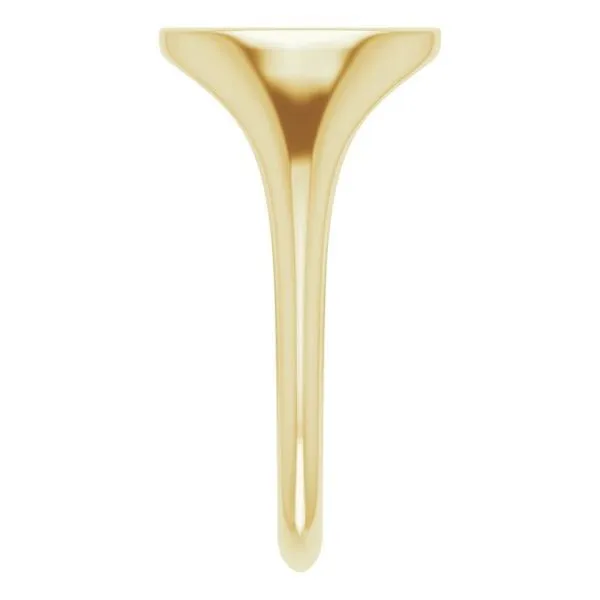 Oval Starburst Signet Ring Image 4 Hopman Jewelers Elkhart, IN