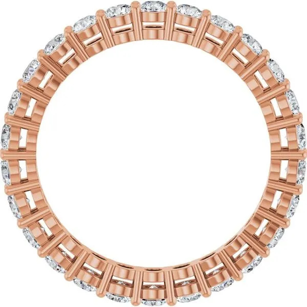 Shared-Prong Eternity Band Image 2 Gold'N Creations Gretna, LA