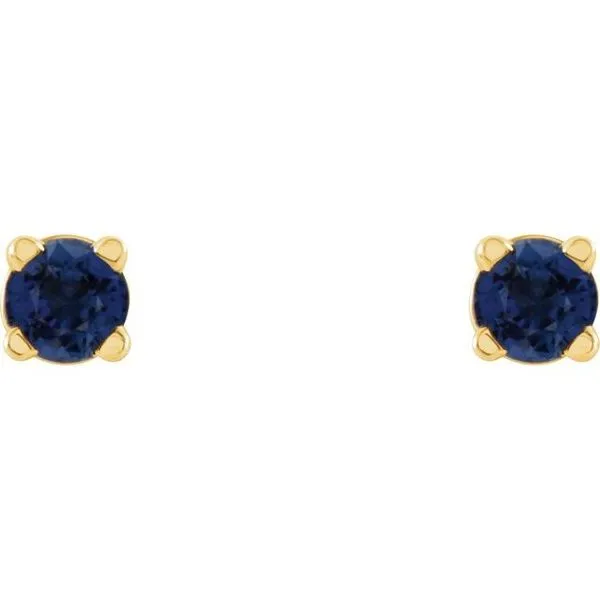 Round 4-Prong Lightweight Stud Earrings Image 2 Rebel Diamonds New Hampton, IA