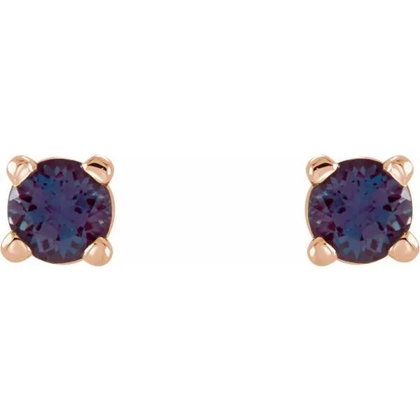 Round 4-Prong Lightweight Stud Earrings Image 2 Rebel Diamonds New Hampton, IA