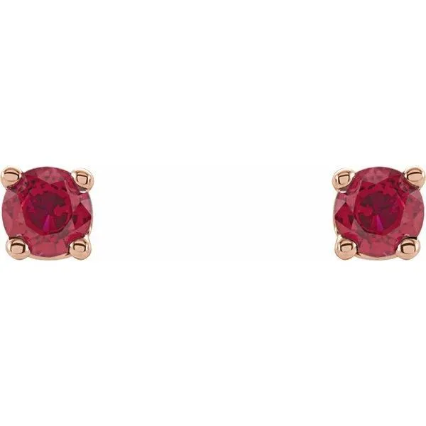 Round 4-Prong Lightweight Stud Earrings Image 2 Rebel Diamonds New Hampton, IA