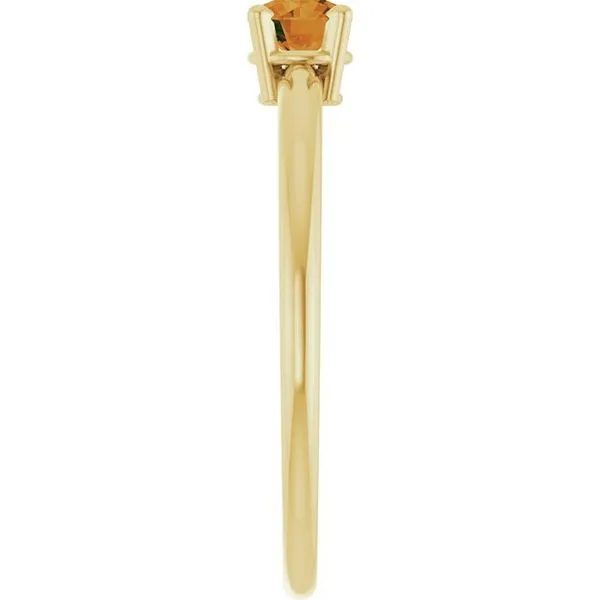 Youth Birthstone Ring Image 3 J. Meredith Jewelers Delafield, WI