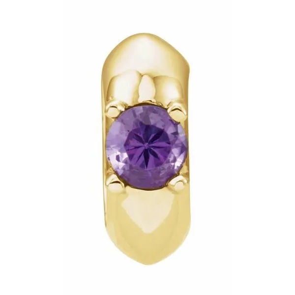 Birth of a Child® Miniature Imitation Birthstone Ring Pendant Hopman Jewelers Elkhart, IN